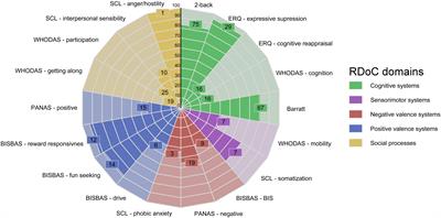 Crisis of objectivity: using a personalized network model to understand maladaptive sensemaking in a patient with psychotic, affective, and obsessive-compulsive symptoms